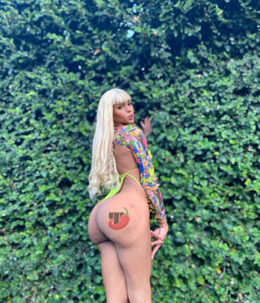 Agatha Piovanny Acompanhante de Luxo Trans TPremier